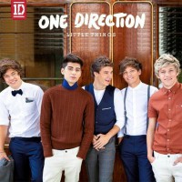 One Direction- Little Things